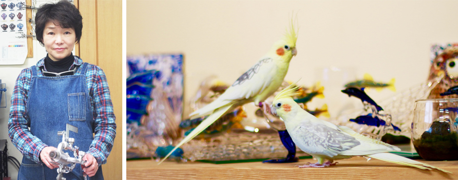 竹川 久仁子,オカメインコ